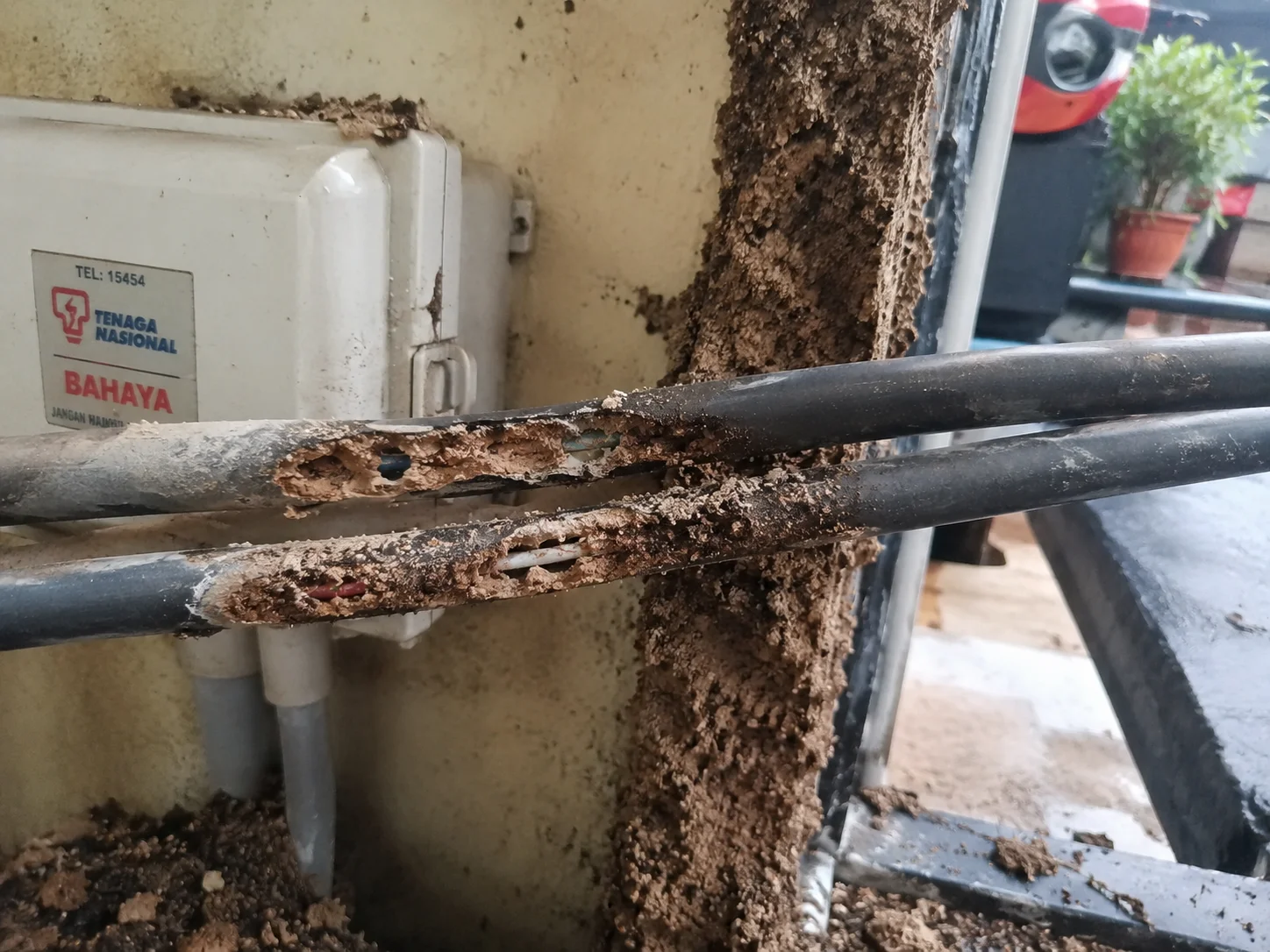 Termite-damaged power cable site - Hongce Cable anti-termite solutions